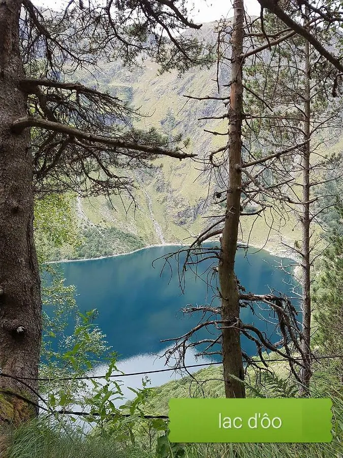Cier De Riviere 